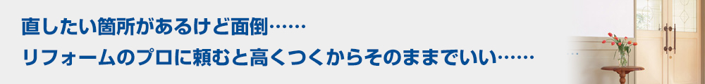 直したい箇所があるけど面倒...... リフォームのプロに頼むと高くつくからそのままでいい......